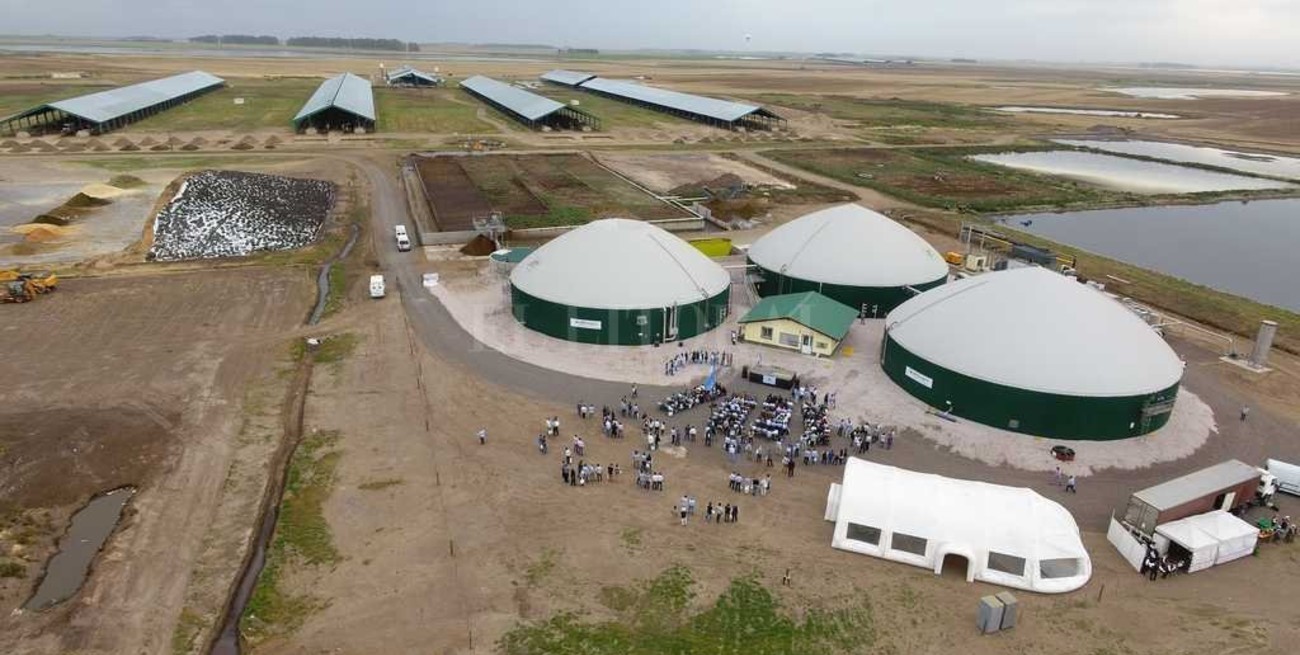 Mega tambo santafesino también produce electricidad 