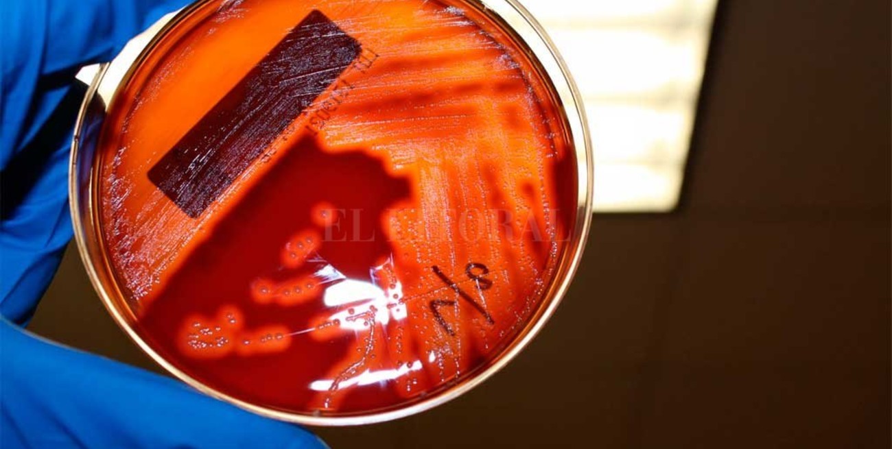 Murió un bebé y son 6 las víctimas fatales por la bacteria streptococcus pyogenes