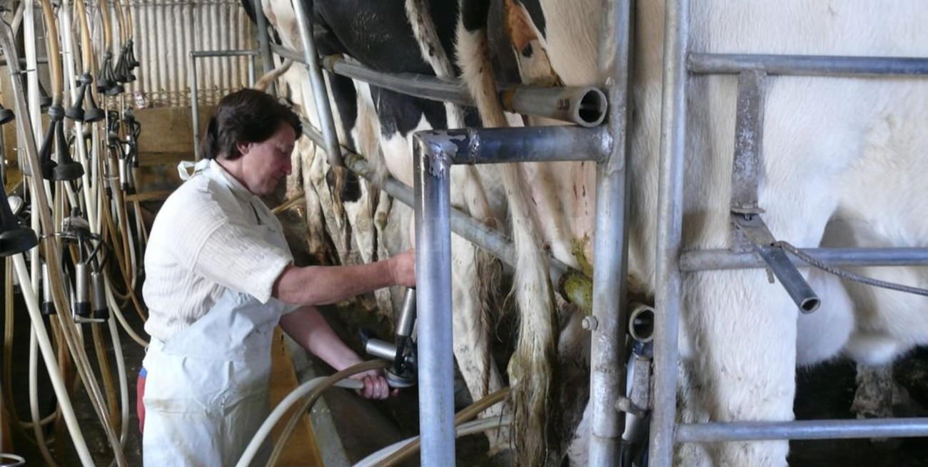 Buenas Prácticas en Tambos, una necesidad en la lechería moderna