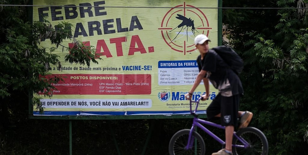 Primeras dos muertes en Argentina por la fiebre amarilla