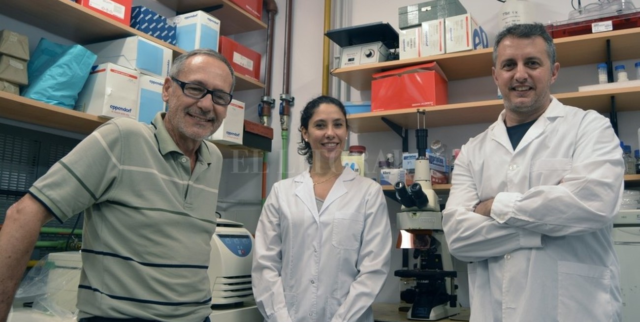 Investigadores locales detectan "la bacteria benéfica de mamá"