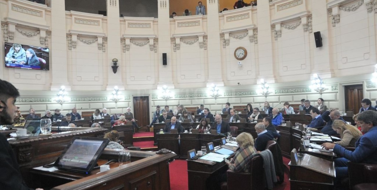 Reforma Constitucional: distintas opiniones de cara a la sesión especial del 29 de agosto