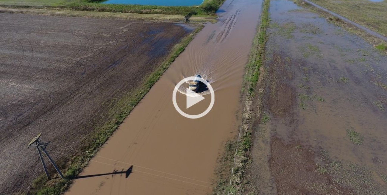 Video: así sale la leche de un tambo después de un temporal