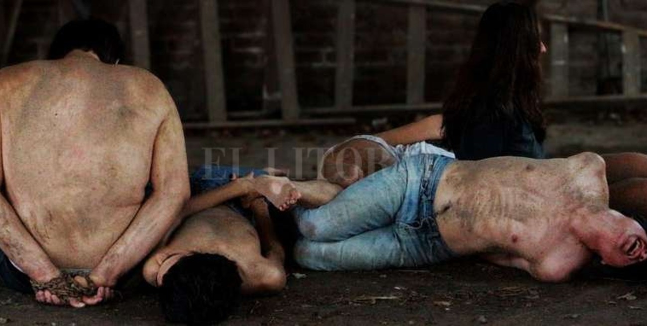 "Los sapos de la memoria"