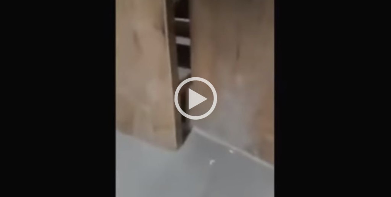 Lo grabó para que le crean: ¿un fantasma en el estadio de Huracán?