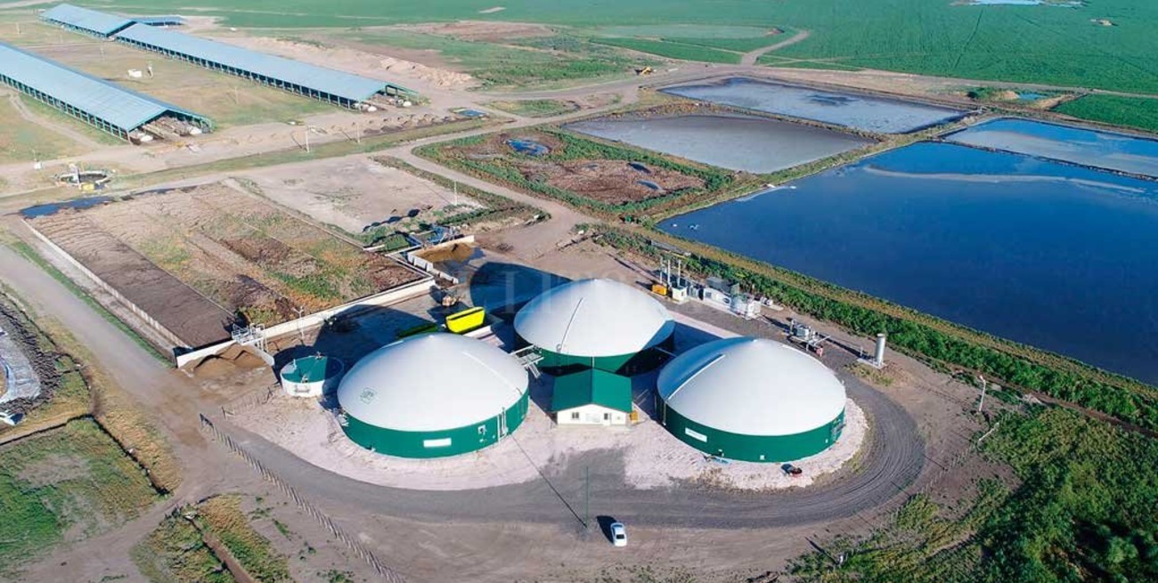Bioeconomía: un concepto clave que empiezan a aplicar algunas empresas santafesinas 