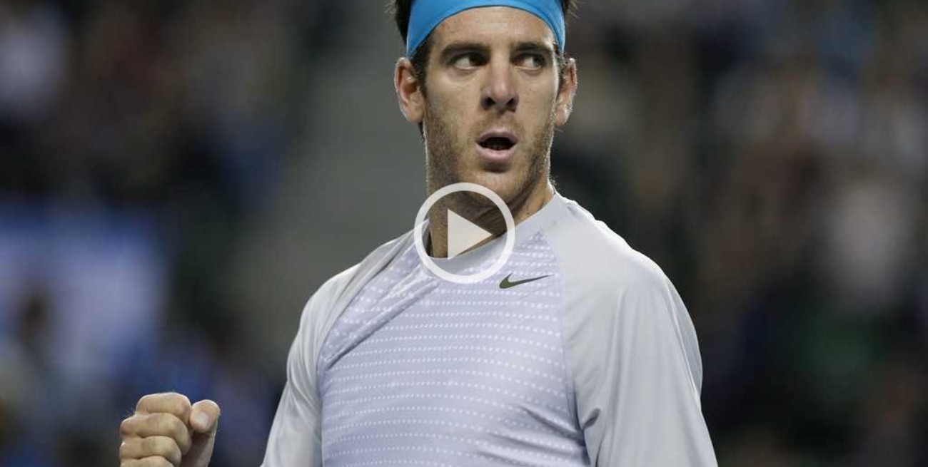 Del Potro vuelve a jugar