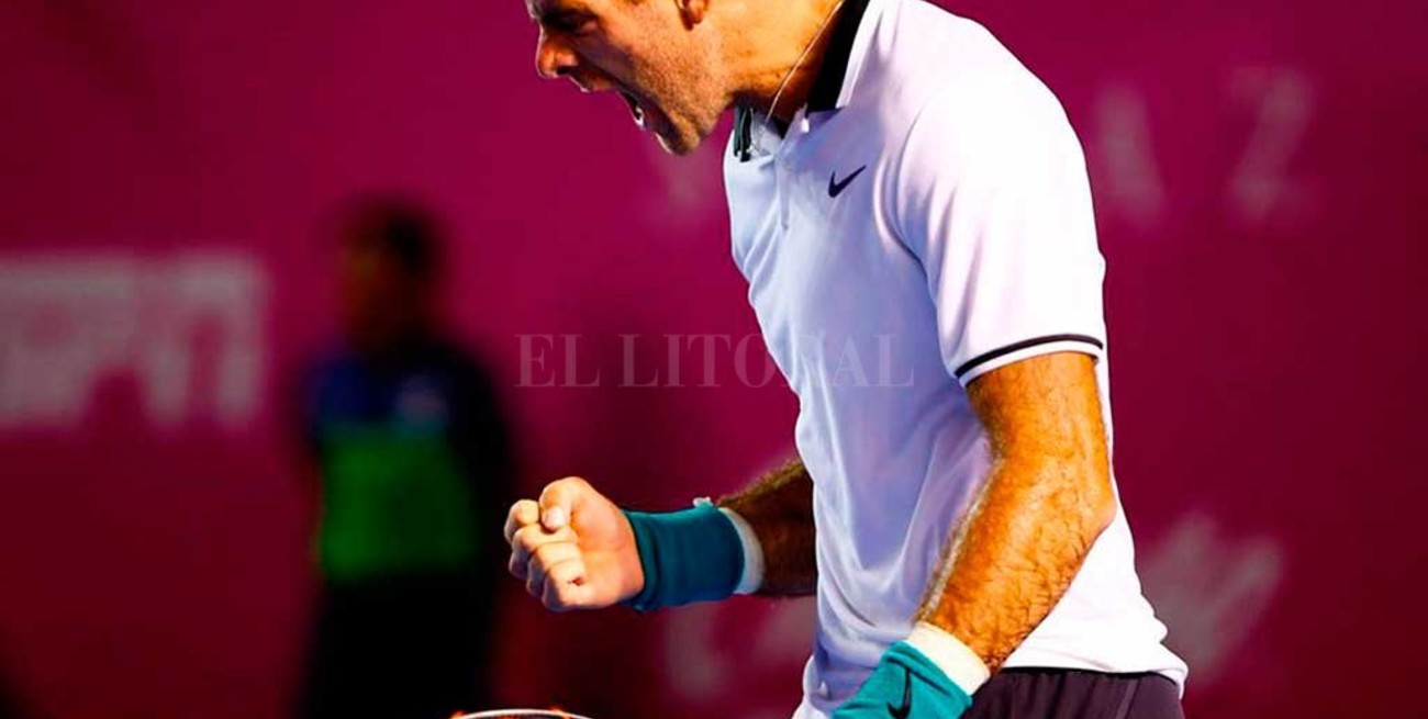 Del Potro jugará la final del Abierto de Los Cabos