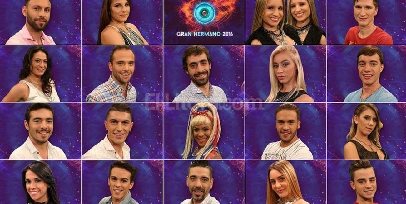 En el país de los gatos