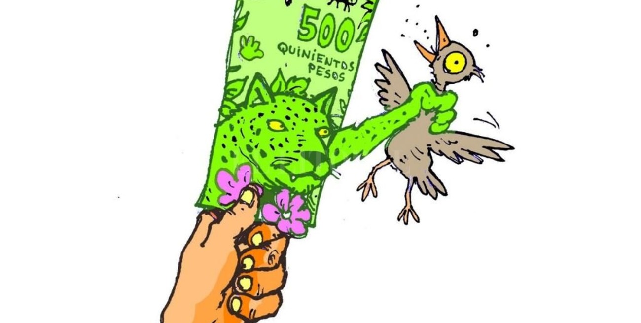 Humor: ¿Cómo detectar billetes falsos de 500?