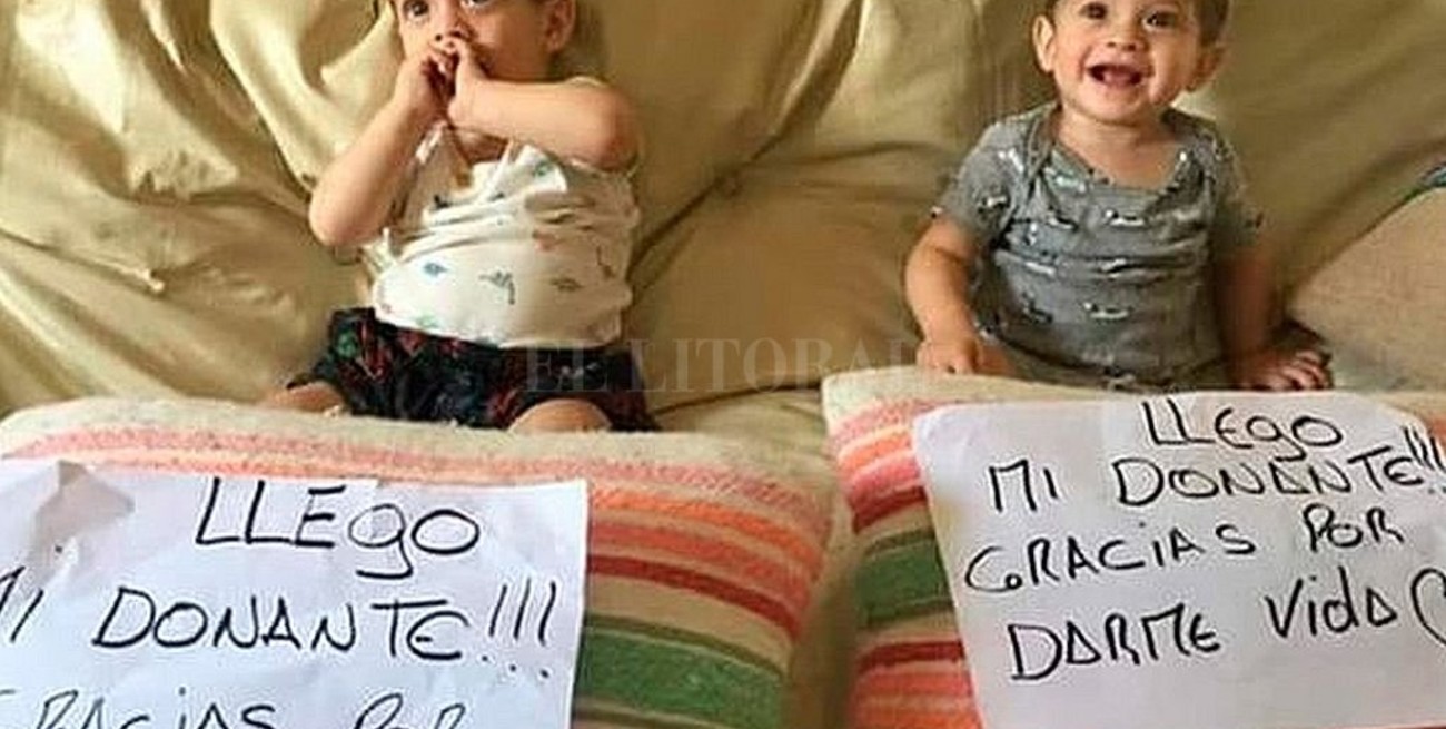 Milo y Jano recibirán el primer trasplante simultáneo de médula del país