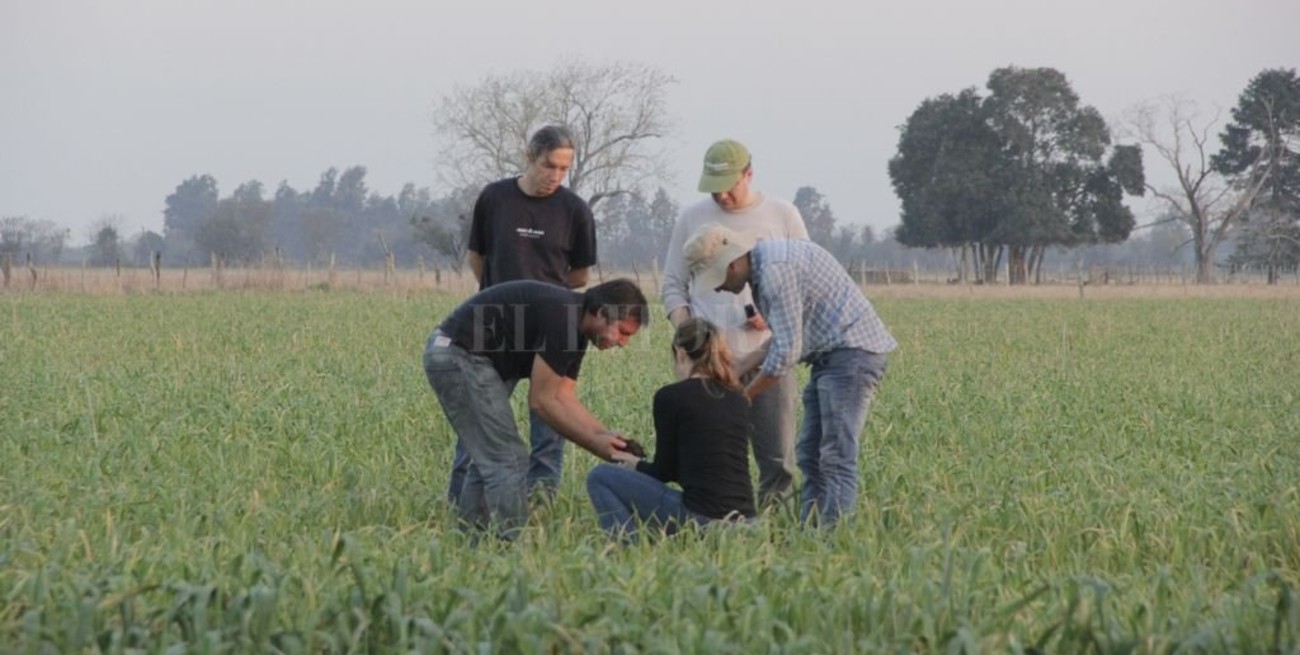 La agroecología en nuestros sistemas de producción