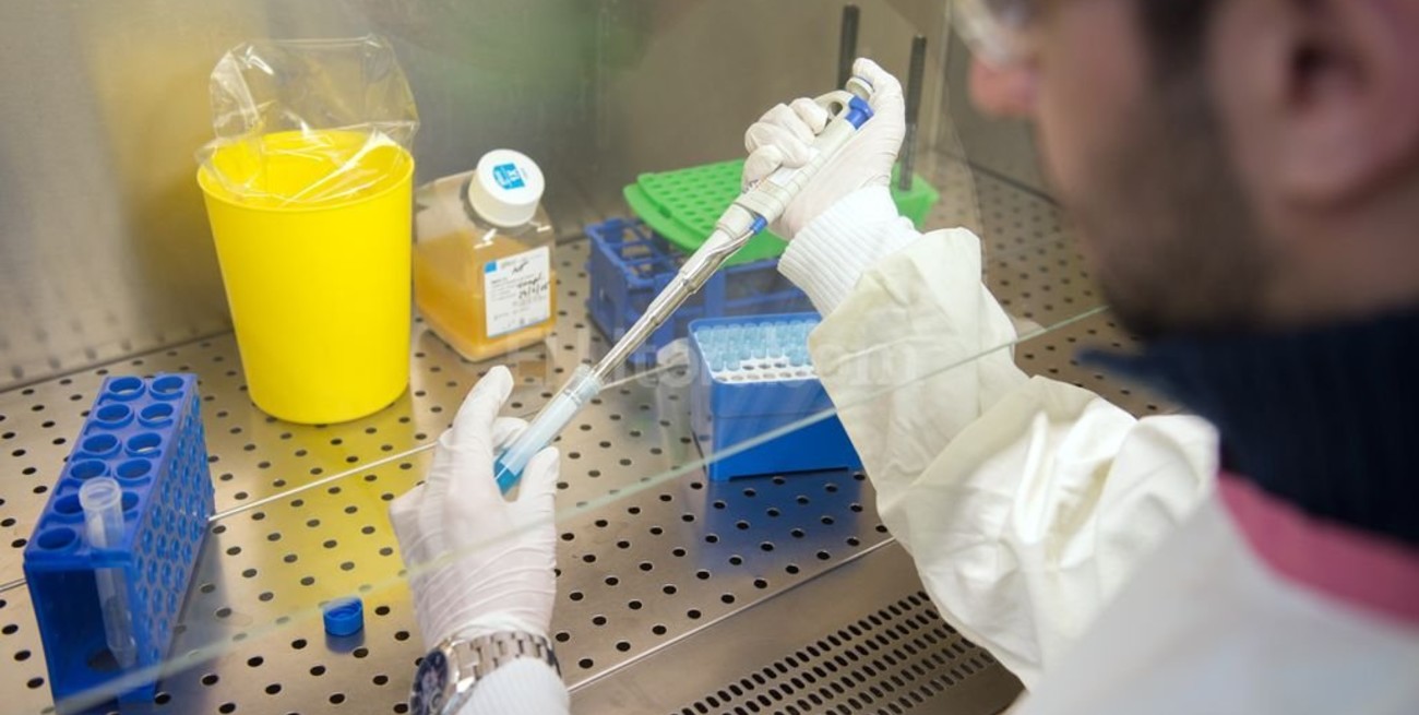 Segundo caso de ébola en Sierra Leona tras declarar el fin de la epidemia 