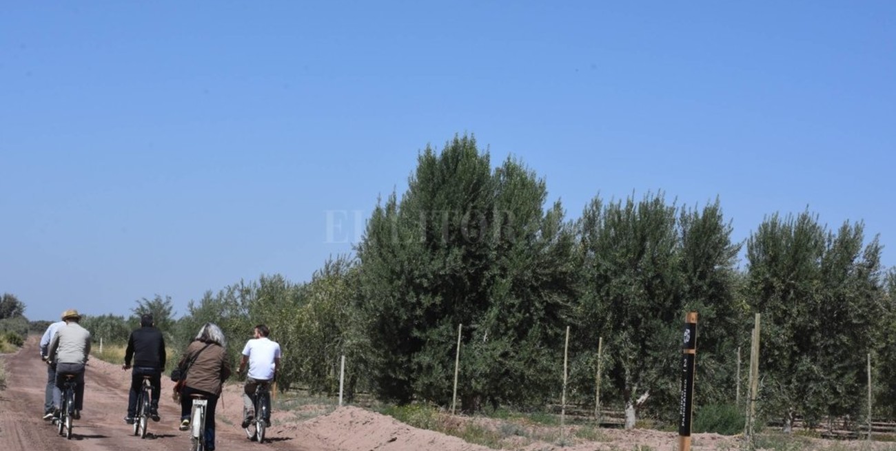 El vino, motor de desarrollo