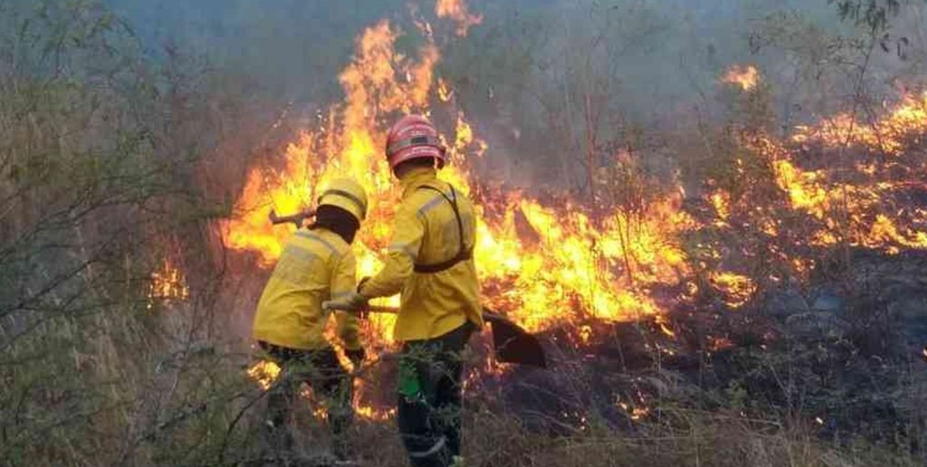10 bomberos voluntarios santafesinos fueron convocados para combatir incendios en el Amazonas