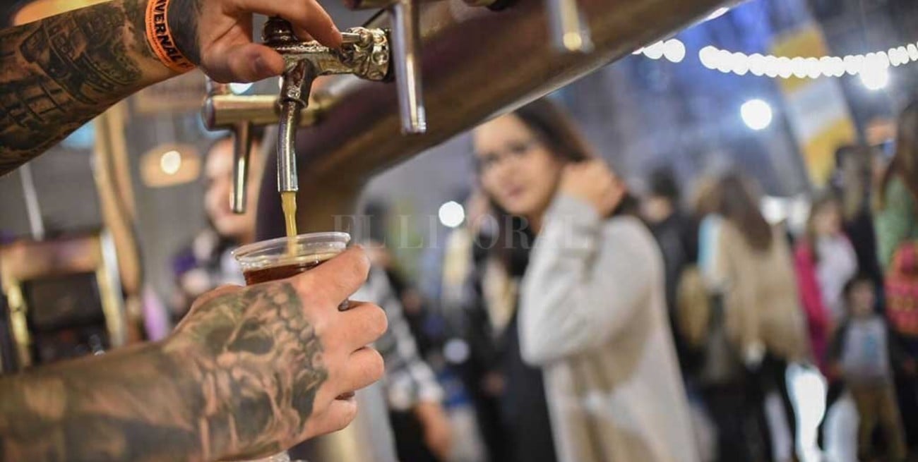 Cerveza artesanal: su sobrante se podría usar como fertilizante o alimento animal