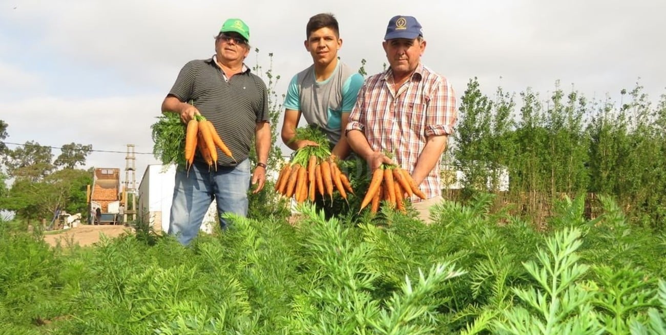 La zanahoria cierra un nuevo ciclo