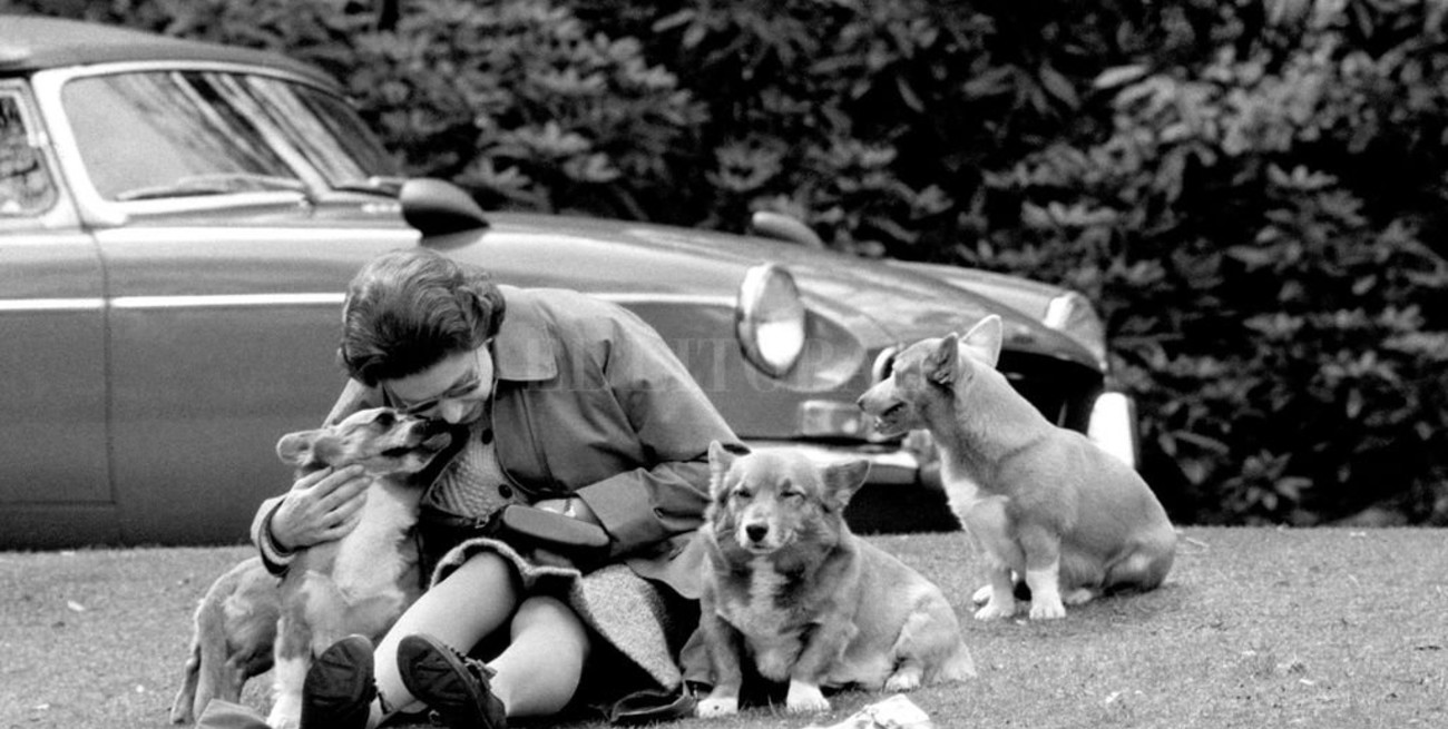 Sarah Ferguson: "Los corgis de Isabel II le ladran a la nada, como si ella estuviera aquí"