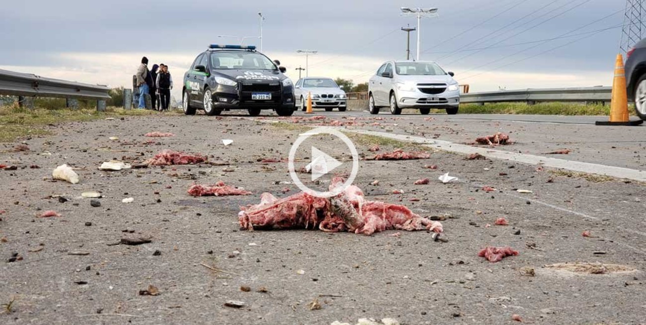 Un camión se desfondó y perdió medias reses de cerdo en la RN 168