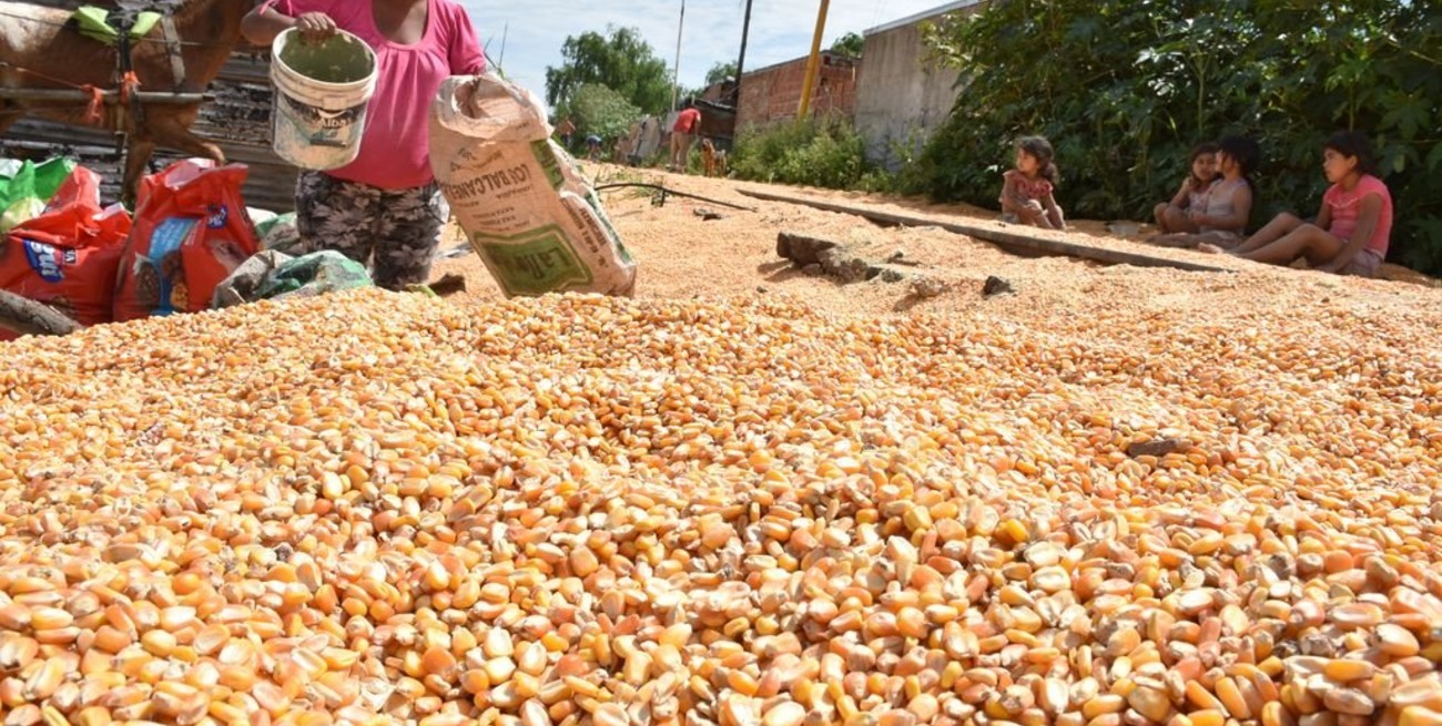 Se reiteran los saqueos a trenes con granos en la ciudad de Santa Fe