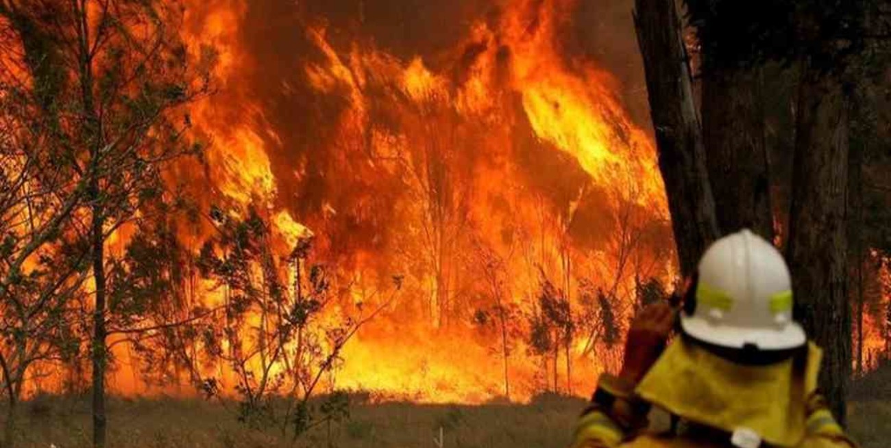 Los bomberos voluntarios de Australia son considerados "héroes" en su país