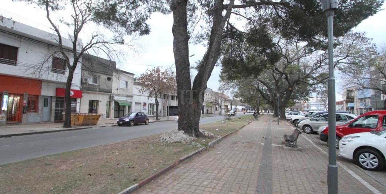 Robaron en una heladería de Av. Freyre