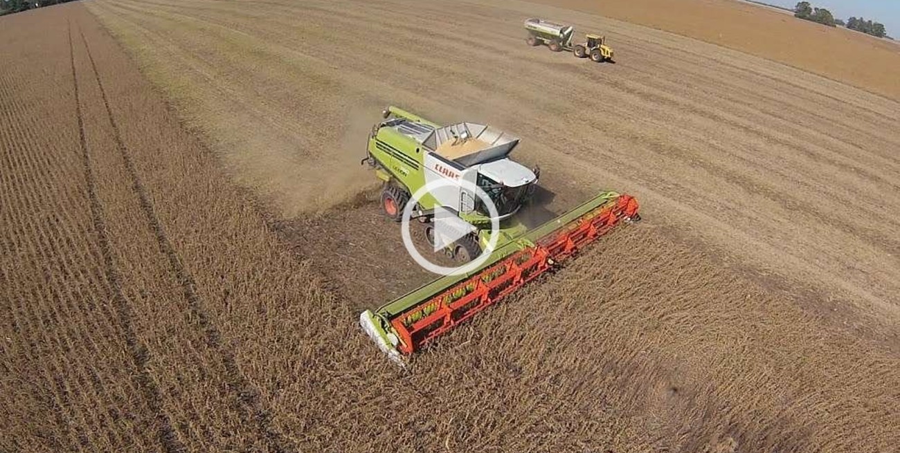 La pérdida de fertilidad de los suelos pampeanos y el fenómeno de la soja