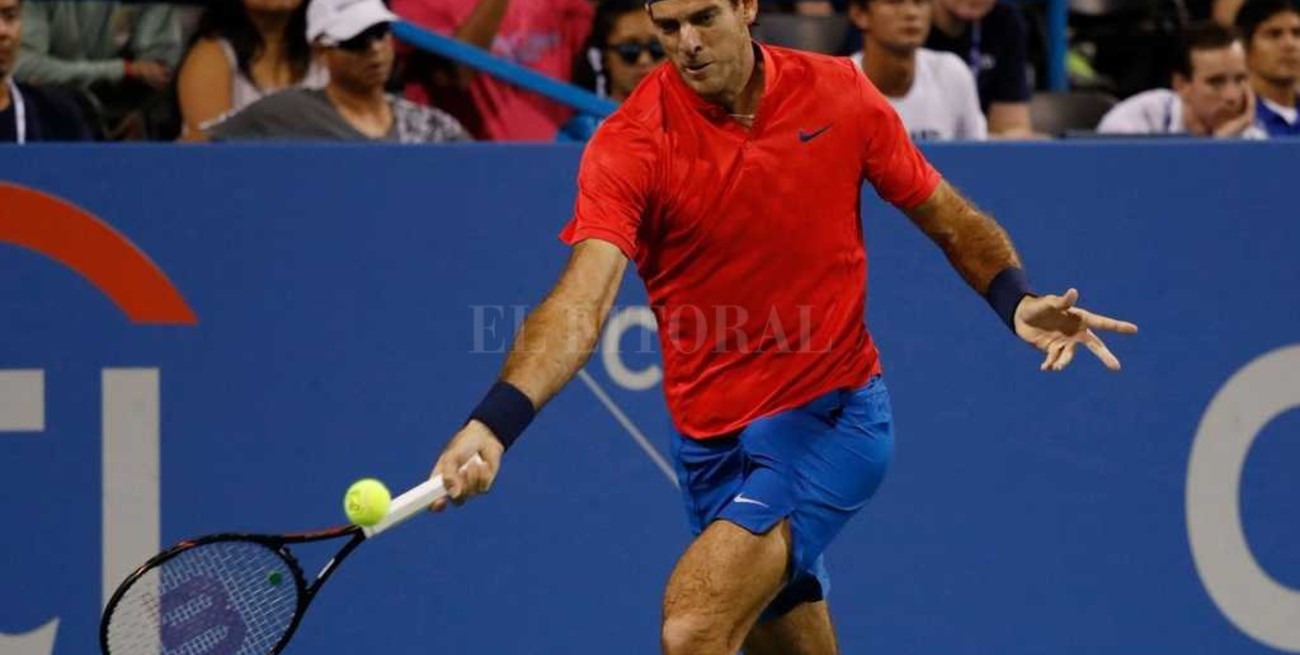 Del Potro quedó eliminado del ATP de Washington