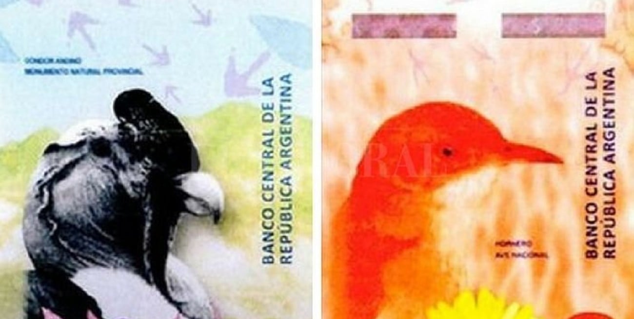 Habrá más animales en los billetes durante 2018