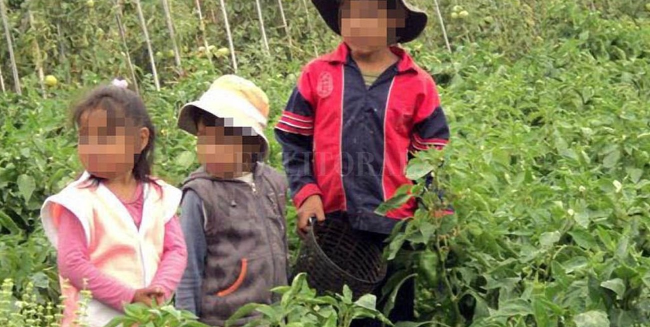 El 10% de los niños de entre 5 y 15 años del país tiene al menos un trabajo