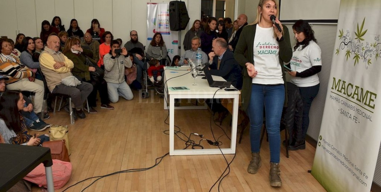 El debate por el cannabis medicinal fue eje de un encuentro en el Cemafe