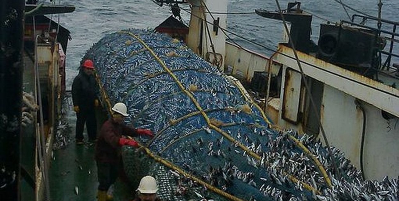 Trabajadores de la pesca piden al gobierno medidas sanitarias específicas ante la pandemia