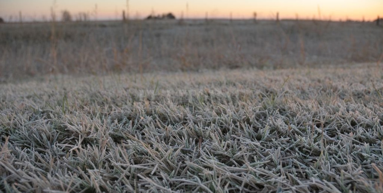 Pronostican heladas para toda la semana