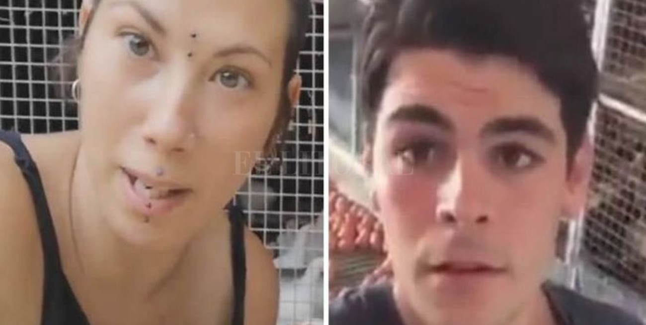 Viral: un granjero refutó con pruebas la teoría de las "gallinas violadas"