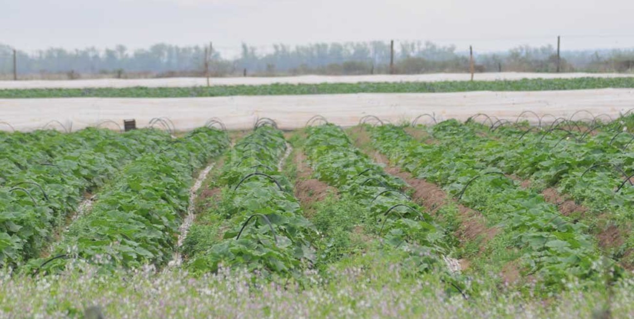 Arroyo Leyes avanza hacia su ordenamiento territorial