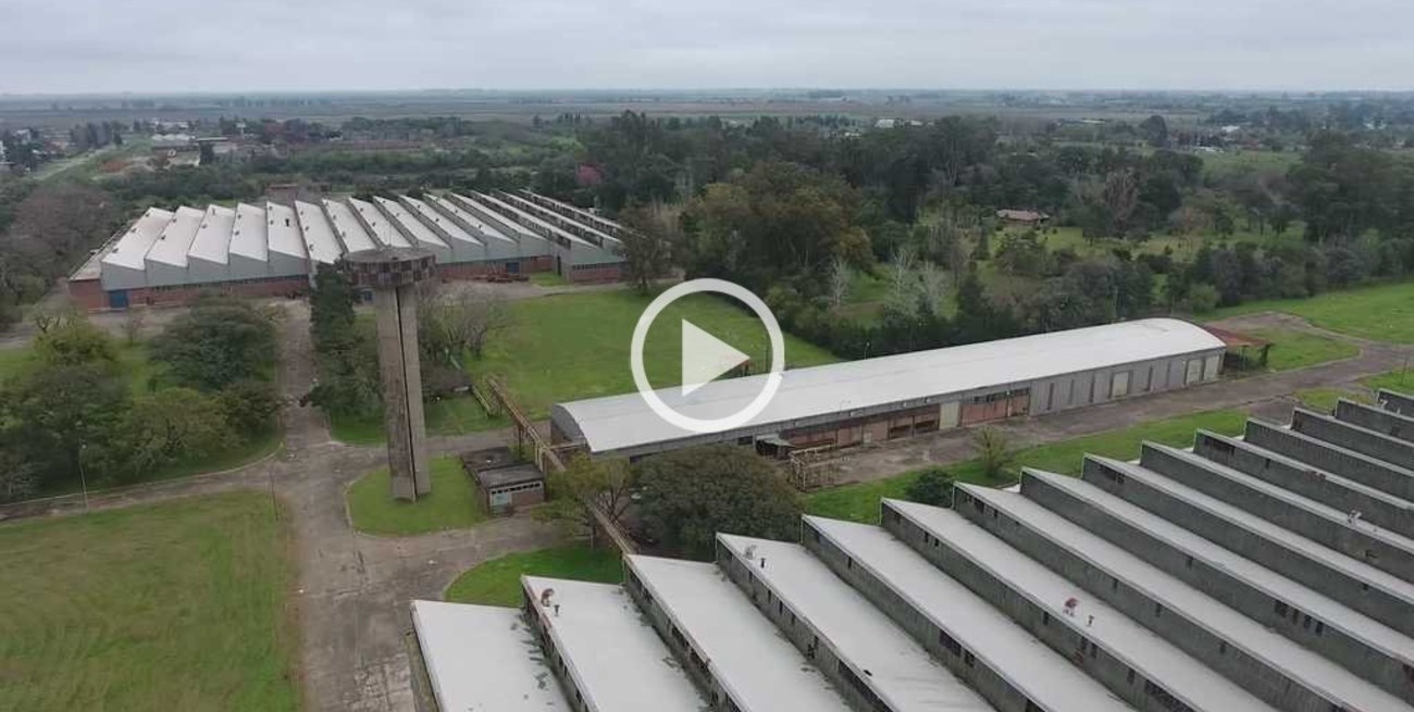 Conocé dos historias de trabajadores de la ex Fiat