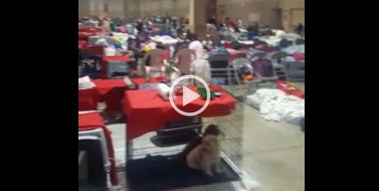 Santafesinos en Miami: mirá cómo protegieron su casa y el lugar donde se refugiaron