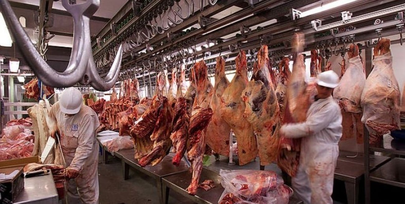 Santa Fe duplicó exportaciones cárnicas en el primer semestre