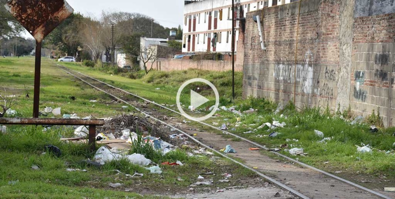 Un basural a cielo abierto a pocos metros de Av. Galicia