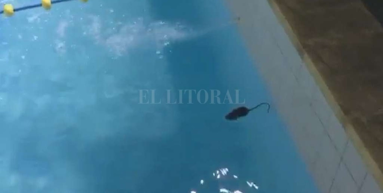 Desinfección en natatorio de Ateneo Inmaculada