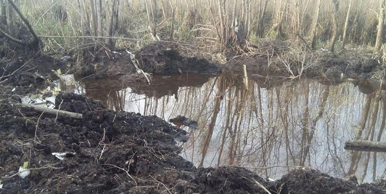 Rescataron los tres cadáveres y los motores del avión que cayó en el Delta del Paraná