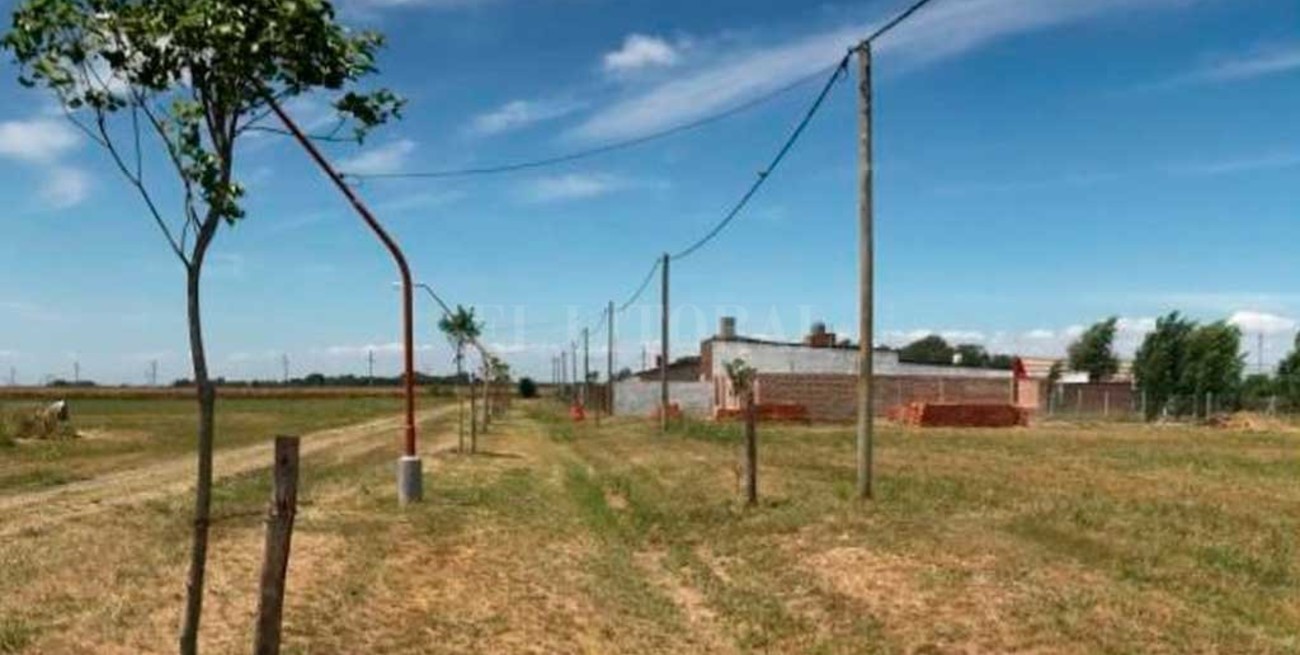 El proyecto Colonia Verde suma nuevos ejemplares 