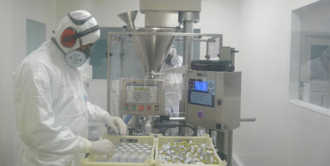 Proyectan tener listo el primer lote de cannabis medicinal a fin de año