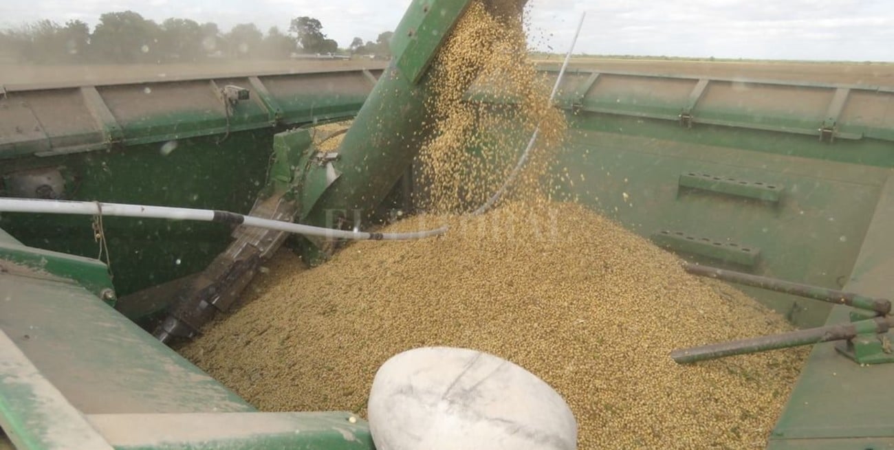 Recomendaciones para la cosecha de soja a semilla