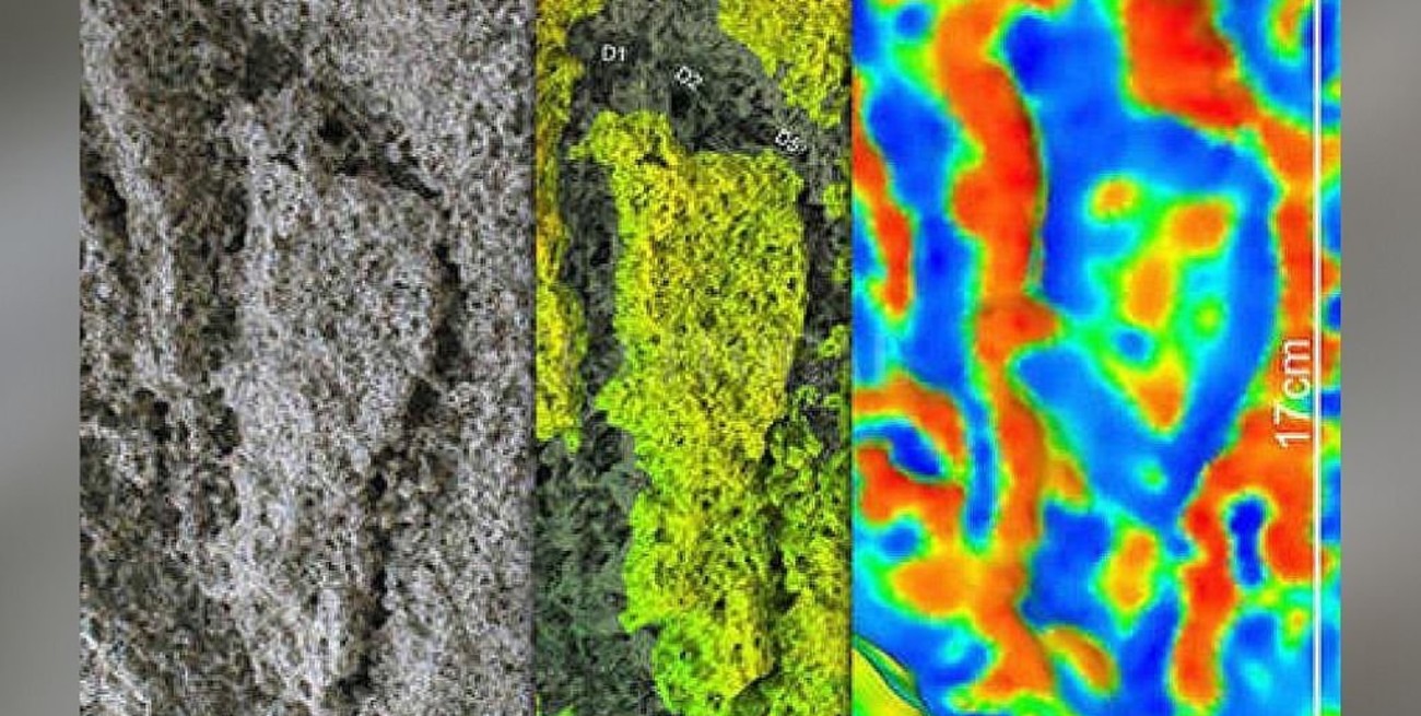 Descubren en Gibraltar la segunda huella en el mundo de un hombre Neandertal