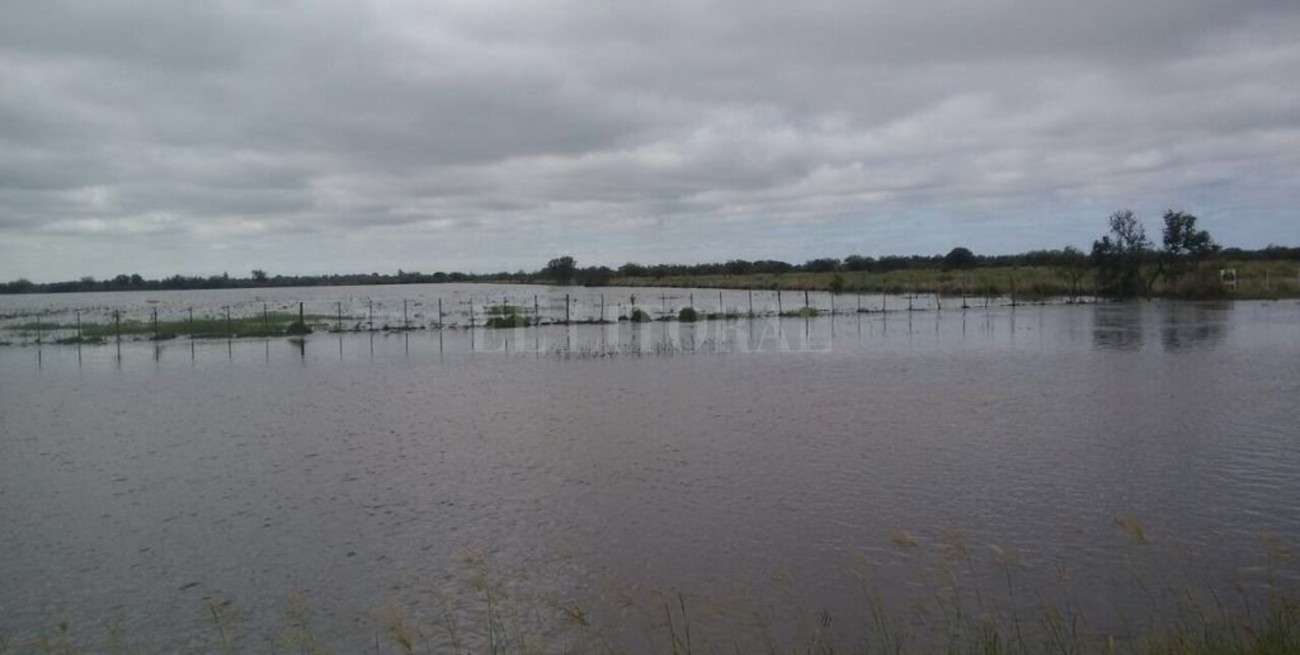 Nación invertirá más de mil millones para prevenir inundaciones en el centro del país