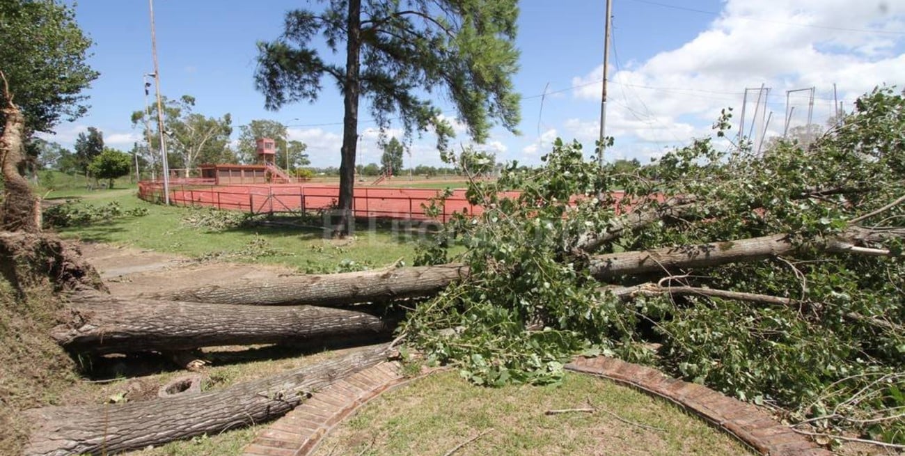 El Card, expuesto y deteriorado
