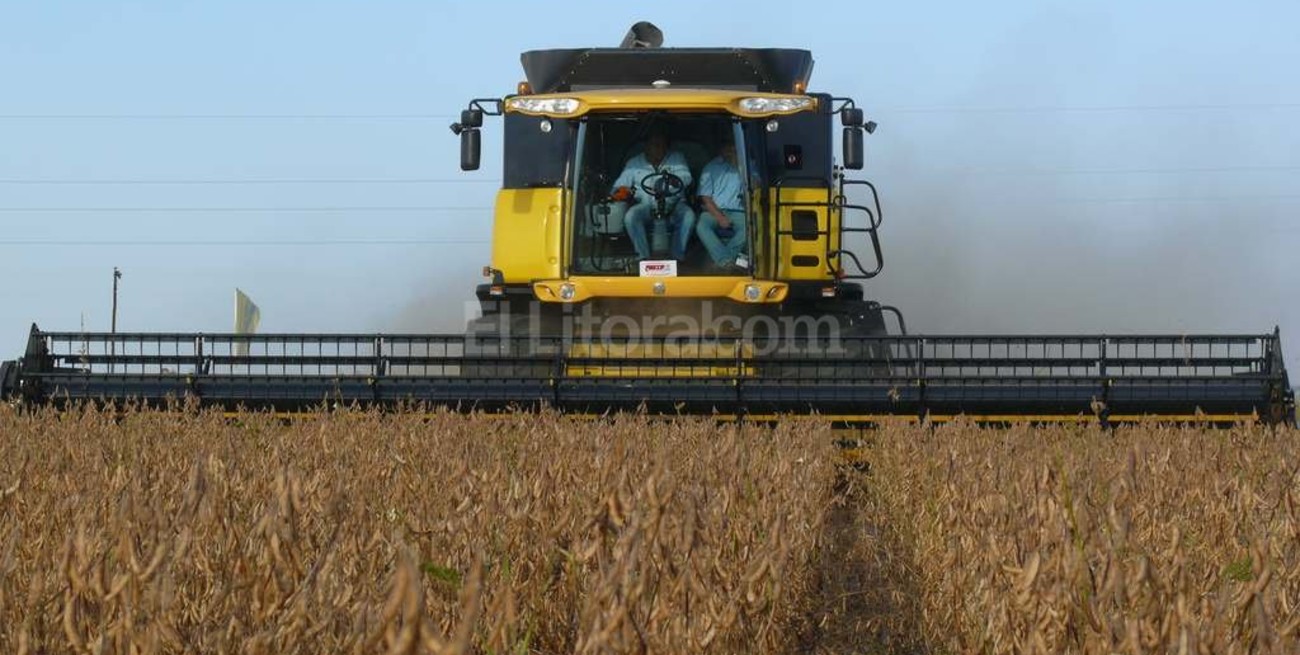 Los dólares del sector agroindustrial, claves para la economía macrista
