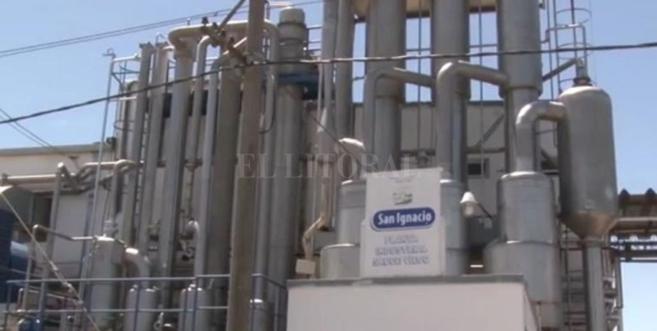 San Ignacio invierte $ 30 millones para producir más queso untable