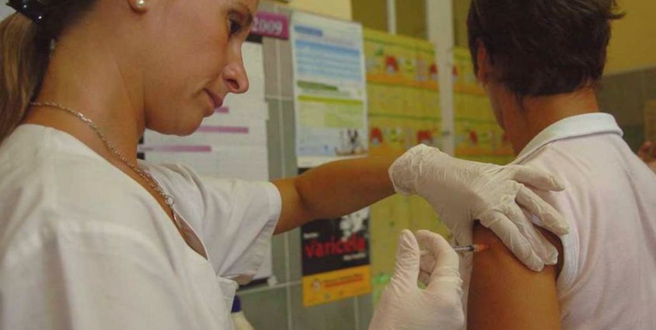 Los turistas que viajen al sur de Brasil no necesitan vacunarse contra la fiebre amarilla